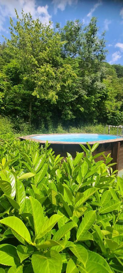 Maison Piscine Villa Saint-Amarin Exterior photo